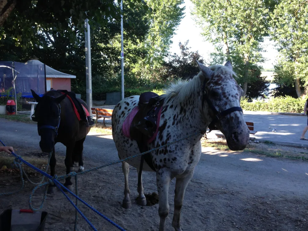 Camping Le Saint Etienne - image n°11 - UniversalBooking