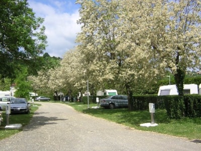 Camping package (pitch, 2 people, 1 vehicle)