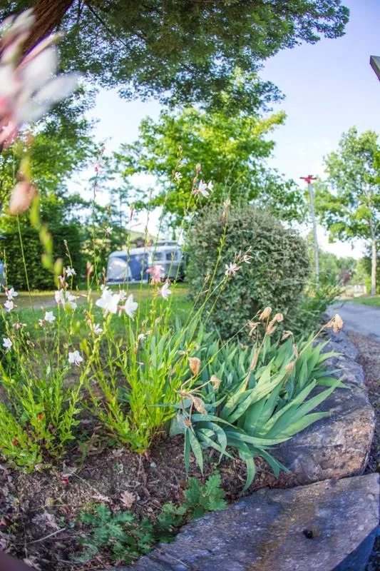 Forfait Nature Sans Électricité