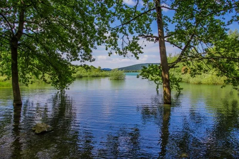 Camping Domaine de  La SERRE