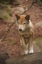 Foto #62 van Wellness Sport Camping Ax-les-thermes