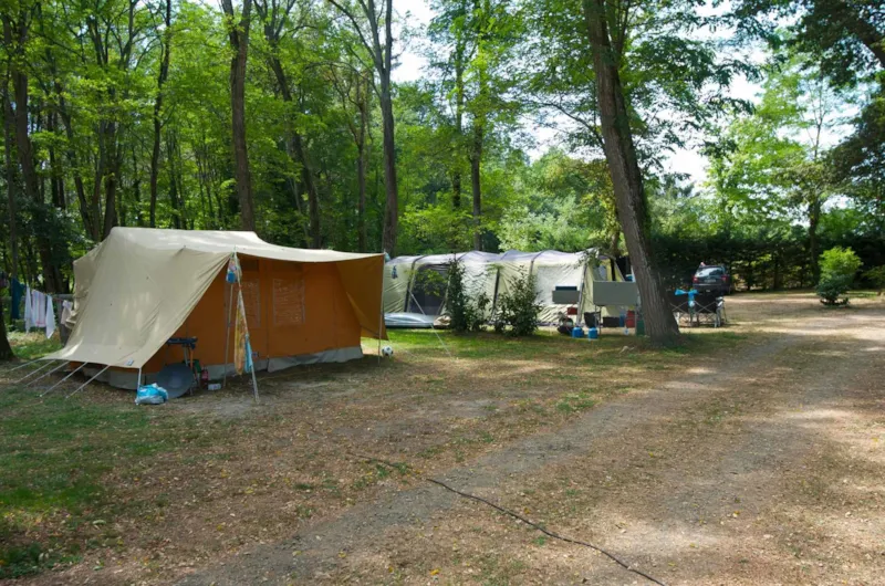 Emplacement Ombragé, Mi Ombragé Ou Ensoleillé À Vous De Choisir