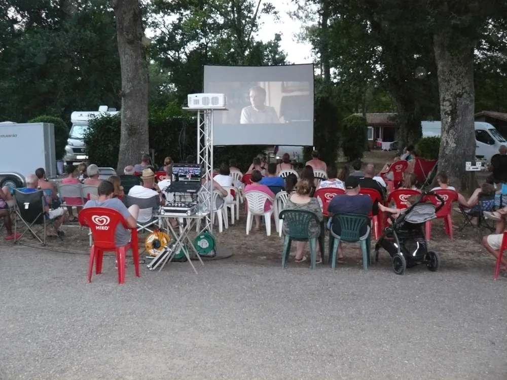 Camping  des Landes d'Armagnac