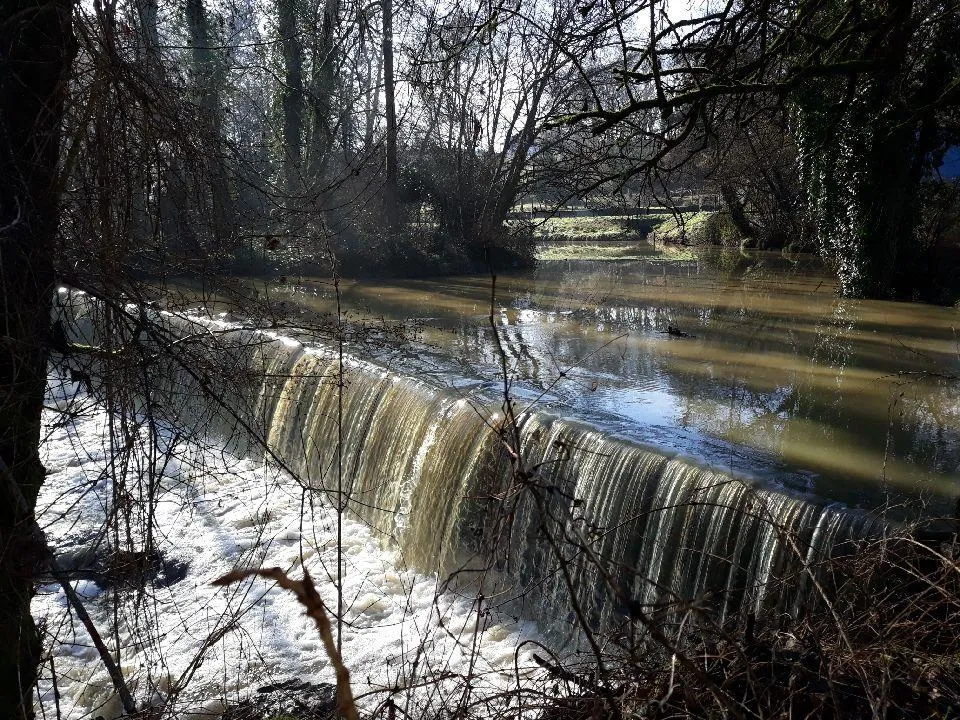 Camping  des Landes d'Armagnac