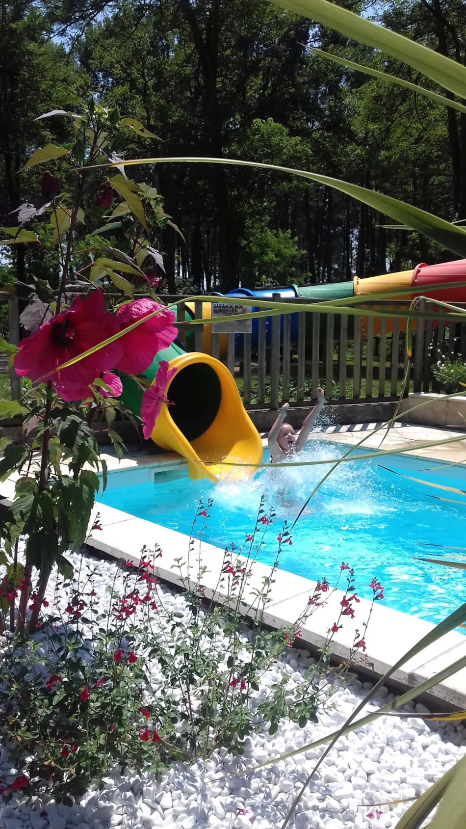 Camping  des Landes d'Armagnac