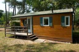 Alojamiento - Bungalow - Camping  des Landes d'Armagnac