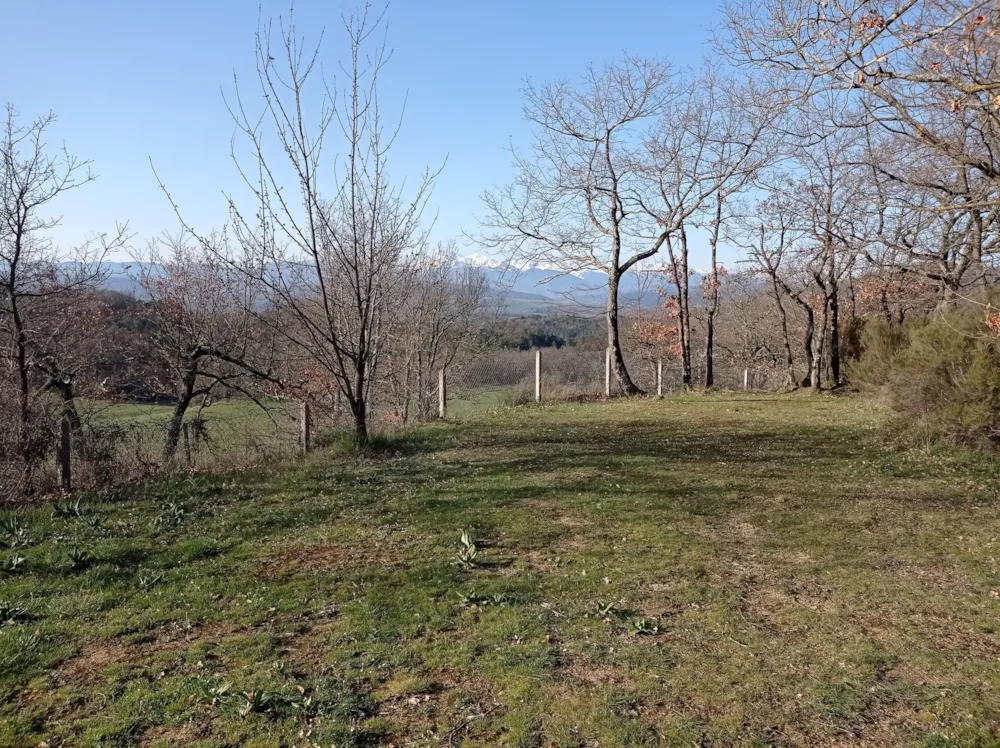 Emplacement - Emplacement - Camping Le Roc del Rey