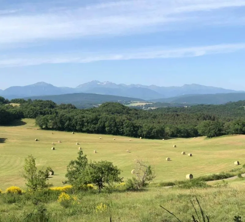 Hébergement Insolite Batteuse / Roulotte