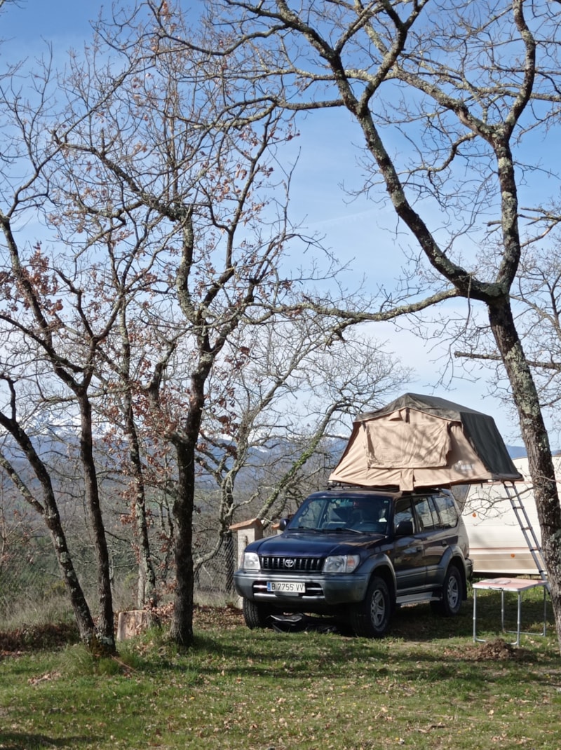 Natuurarrangement - Standplaats + tent of caravan + 1 auto