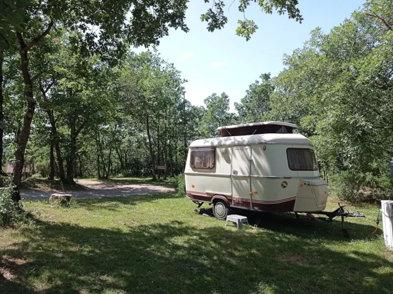 Forfait Confort - Emplacement + Tente Ou Caravane + 1 Voiture + Electricité