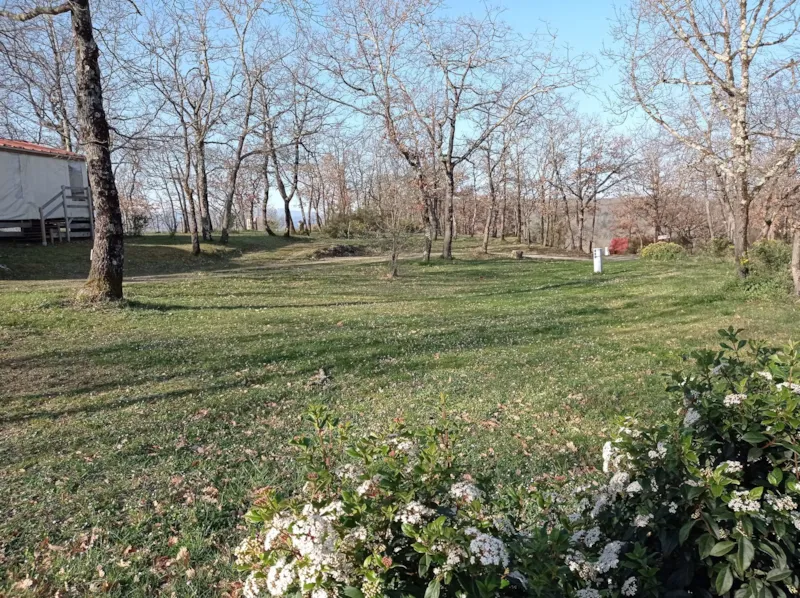 Forfait Confort - Emplacement + Tente Ou Caravane + 1 Voiture + Electricité
