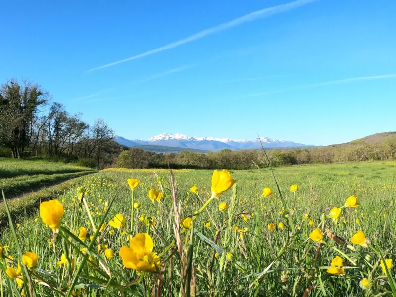 Chalet Mobil 2 Chambres