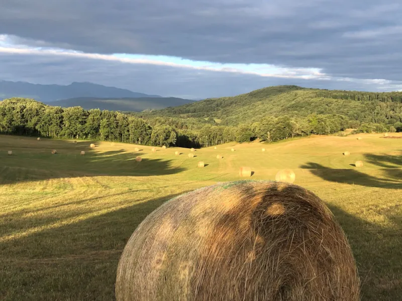 Chalet Mobil 2 Chambres