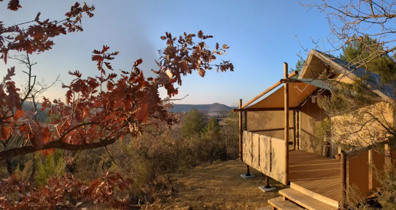 Jungle Lodge 4 Personnes