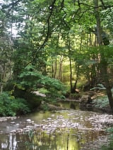 Foto #18 van Camping Le Roc del Rey