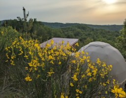 Location - Dome Géodésique - Camping Le Roc del Rey