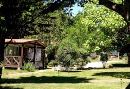 Établissement Camping La Pibola - Camon