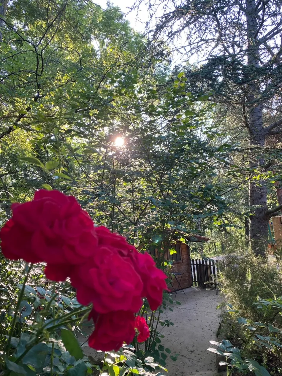 Flower Camping LA PIBOLA