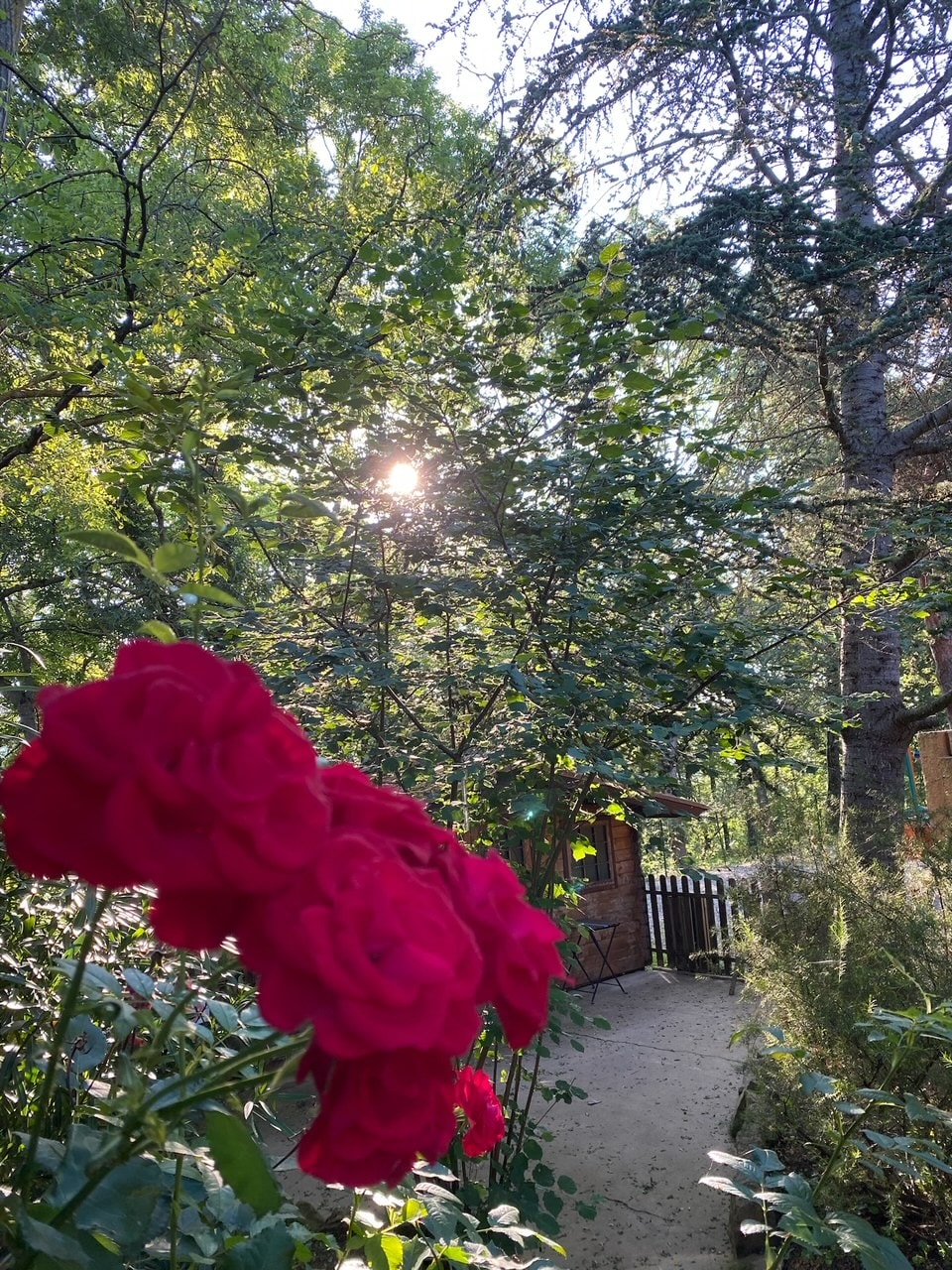 Flower Camping LA PIBOLA — Photo 8