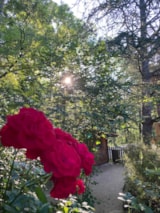 Foto #8 van Flower Camping LA PIBOLA