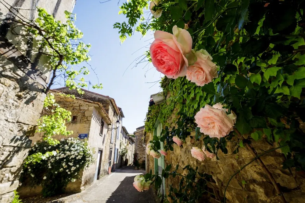 Flower Camping LA PIBOLA - image n°31 - UniversalBooking