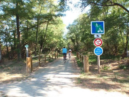 Flower Camping LA PIBOLA