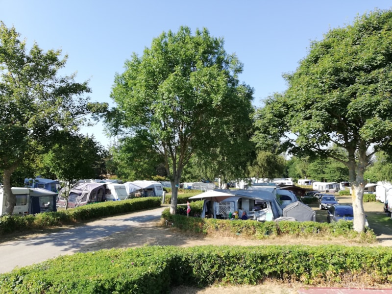 Pitch with electricity