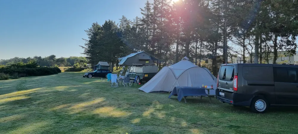 Emplacement - Emplacement Tente Sans Électricité - Hvalpsund Familie Camping