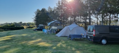 Hvalpsund Familie Camping