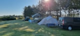 Foto #6 van Hvalpsund Familie Camping