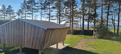 Shelter