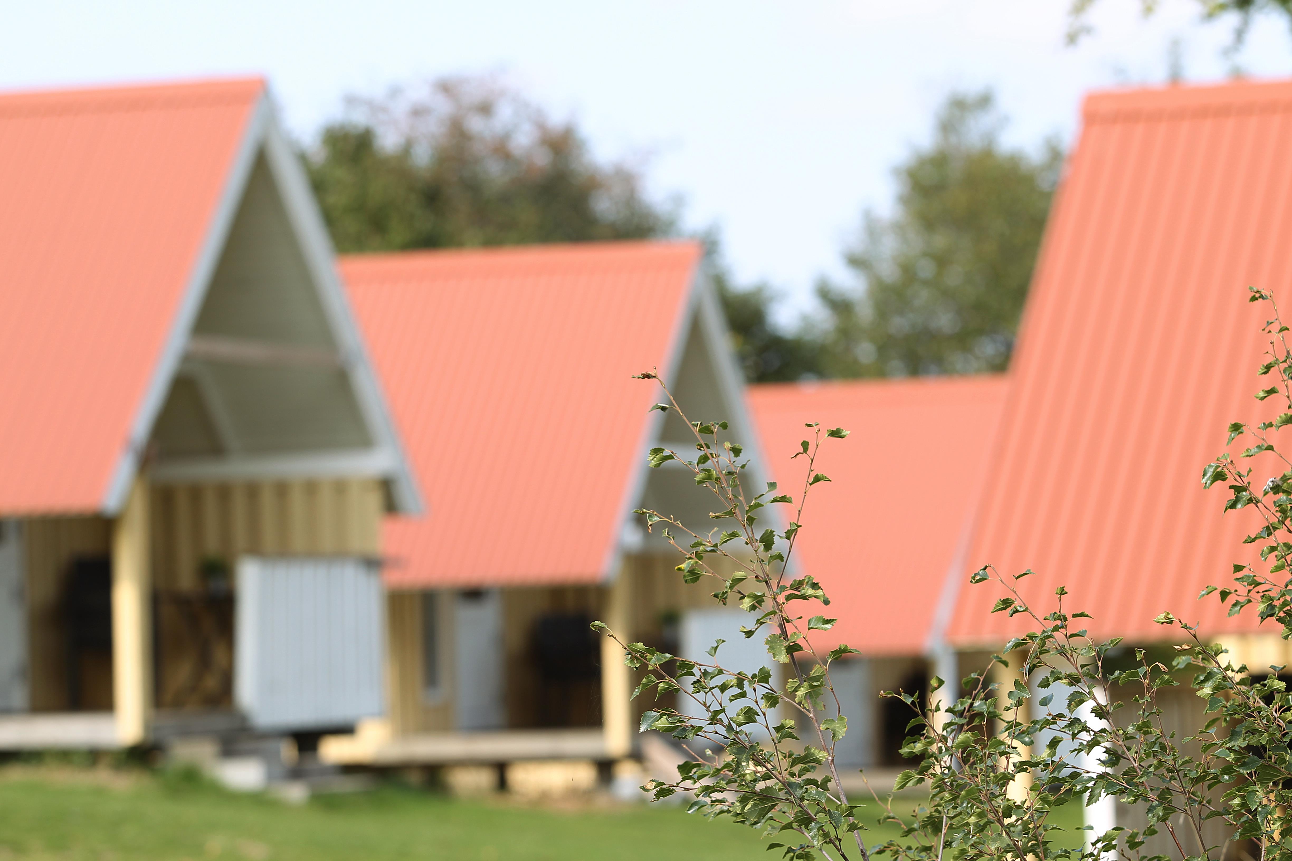 Accommodation - Cabin 15M² - Hjarbæk Fjord Camping