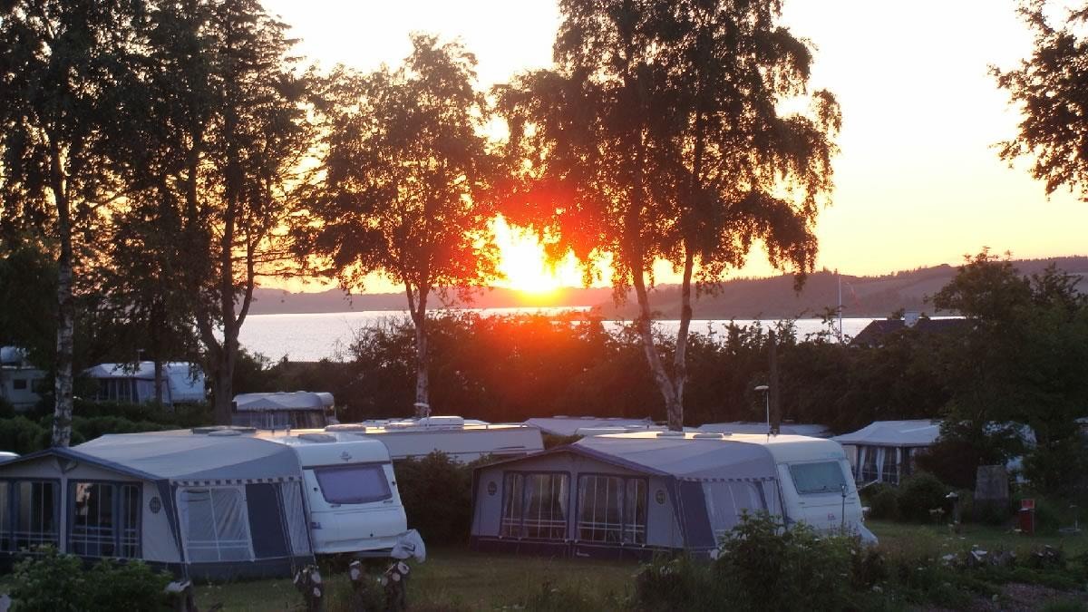 Hjarbæk Fjord Camping — Photo 4
