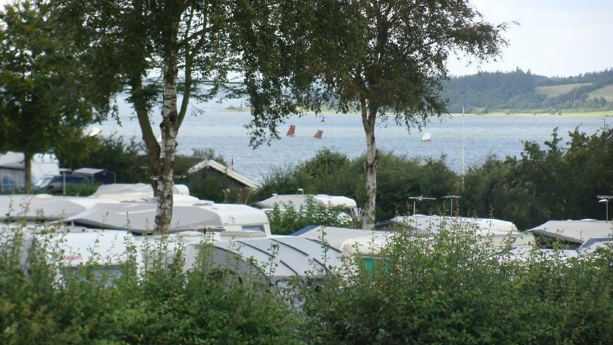Hjarbæk Fjord Camping — Photo 2