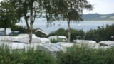 Foto #2 van Hjarbæk Fjord Camping