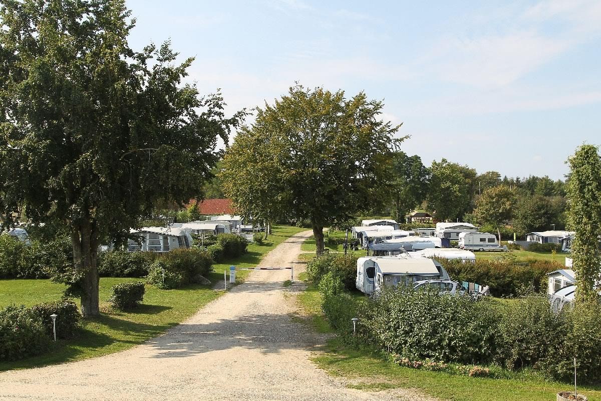 Hjarbæk Fjord Camping — Photo 1