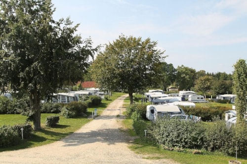 Foto #1 van Hjarbæk Fjord Camping