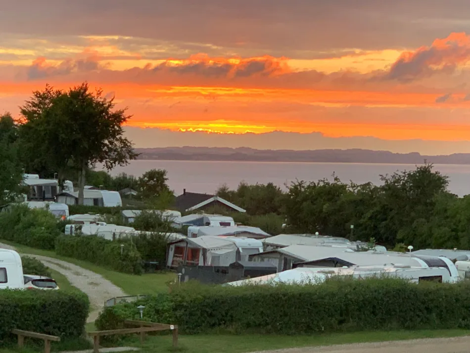 Hjarbæk Fjord Camping