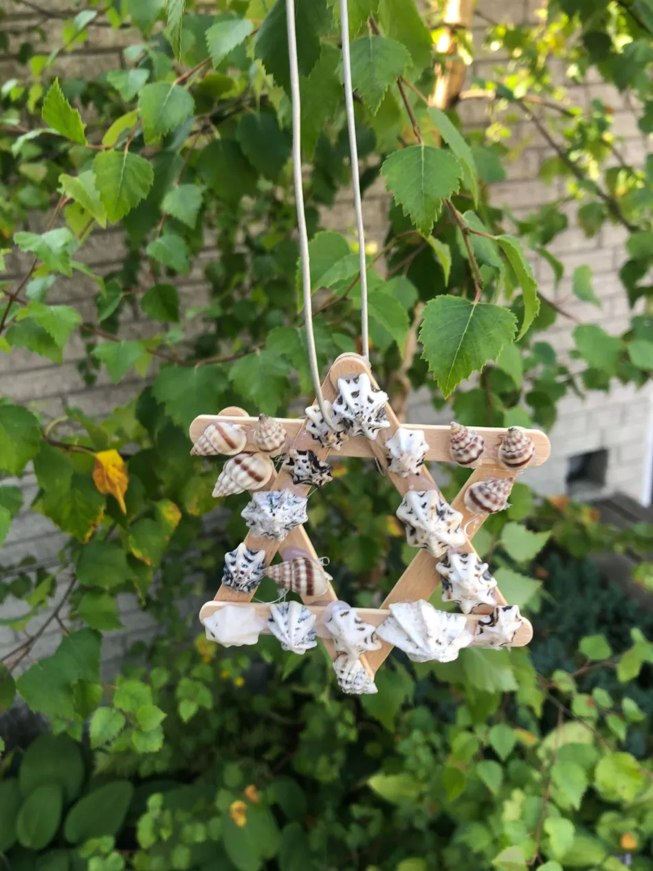 Hjarbæk Fjord Camping