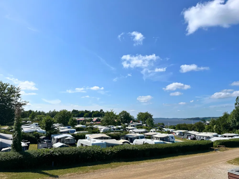Stellplatz - Stellplätze - Hjarbæk Fjord Camping