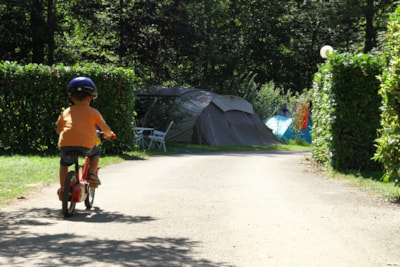 Comfort Package 100/120m² (1 tent, caravan or motorhome / 1 car / electricity 6A)