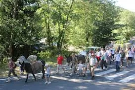 Camping Le Pré Cathare