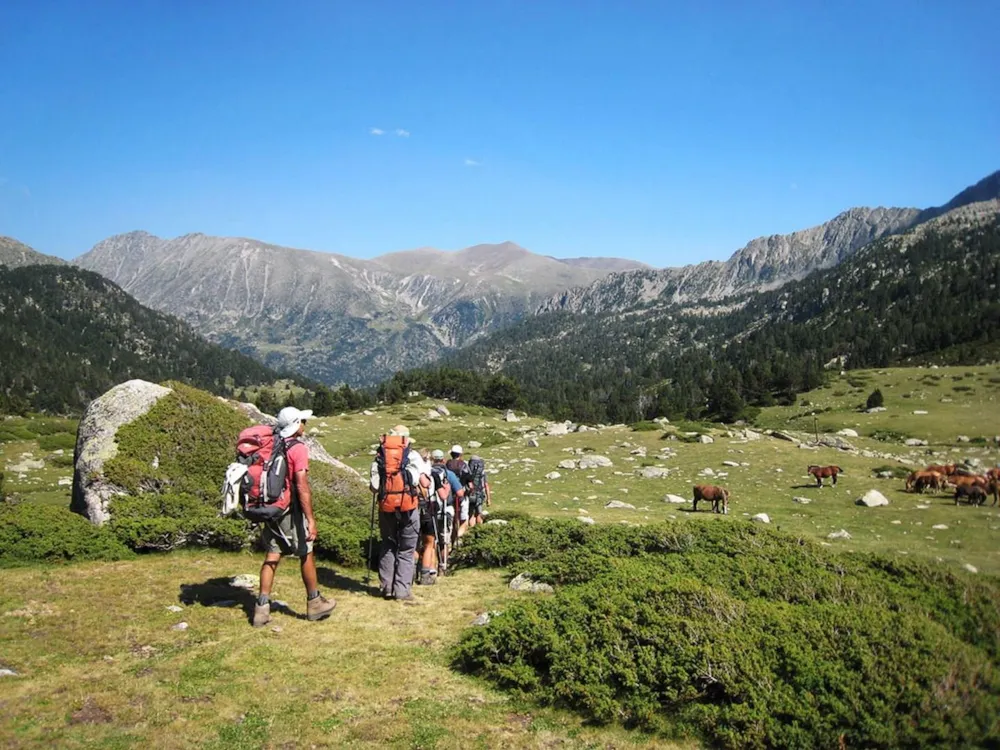 Camping Le Petit Pyrénéen