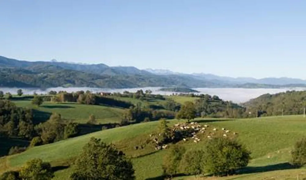 Camping Le Petit Pyrénéen