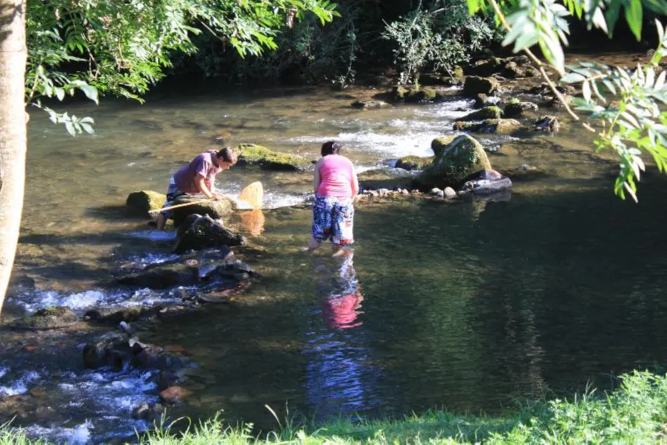 Camping Le Petit Pyrénéen