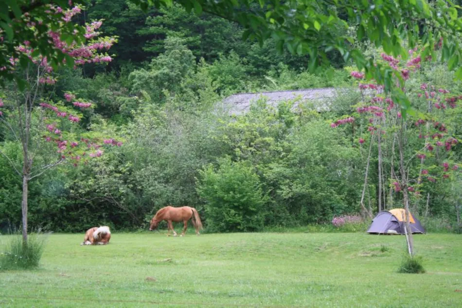 Camping Le Petit Pyrénéen