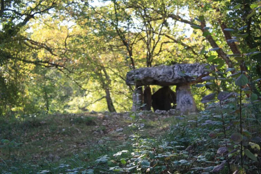 Camping Le Petit Pyrénéen