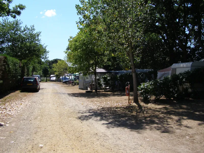 Emplacement "Eco" : Caravane Ou Camping-Car 2 Pers. + 1 Voiture + Électricité 10A