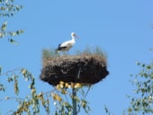 Camping Le Bois Joli Vendée lagon  **** Maeva Escapades