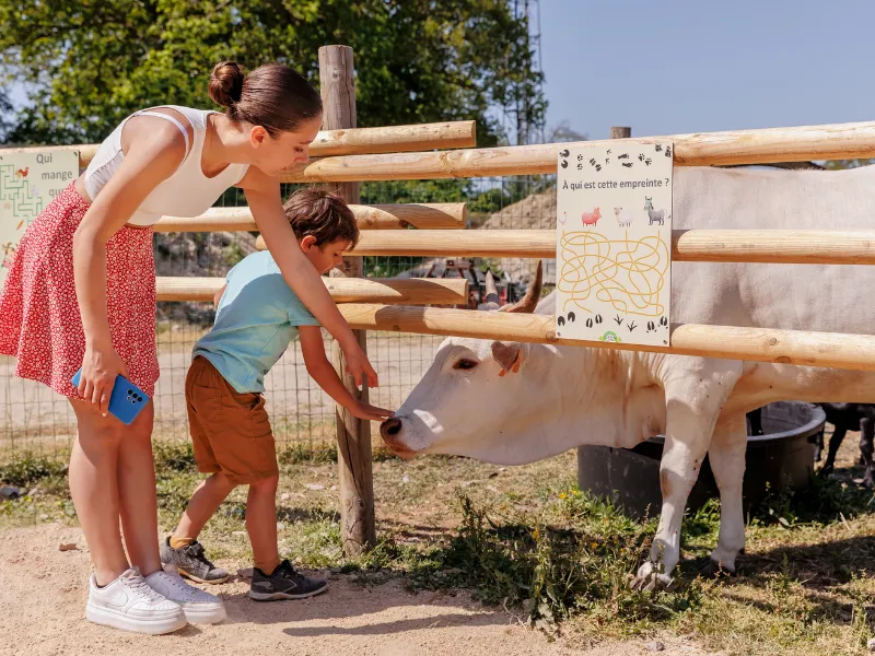 Camping Le Bois Joli Vendée lagon  **** Maeva Escapades